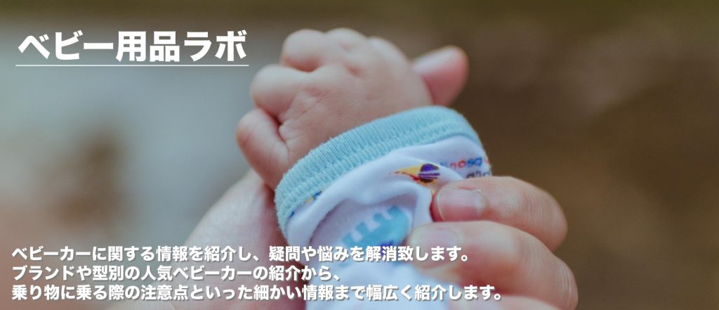 海外製のセカンドベビーカー ベビーホーム babyhome | ベビー用品ラボ